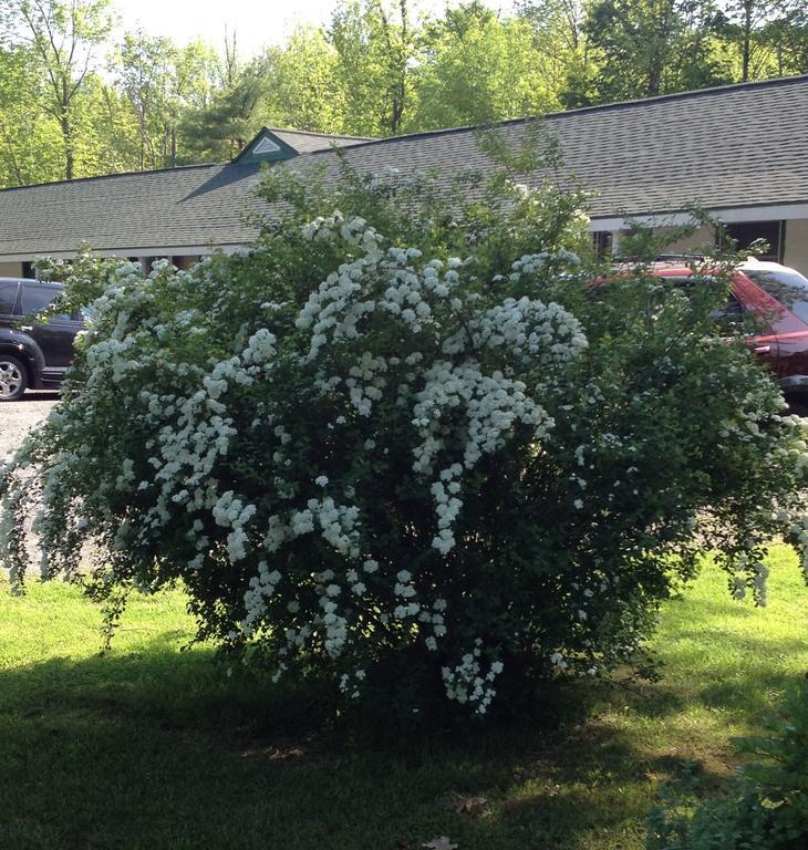 Mcgregor Inn Motel Wilton Bagian luar foto